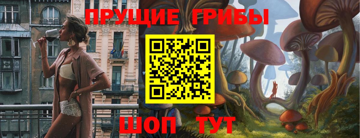 Псилоцибиновые грибы Cubensis Славянск-на-Кубани
