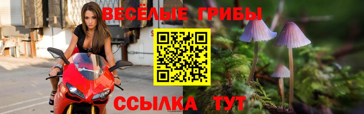 Славянск-на-Кубани  Псилоцибиновые грибы MAGIC MUSHROOMS  Вход с VPN 