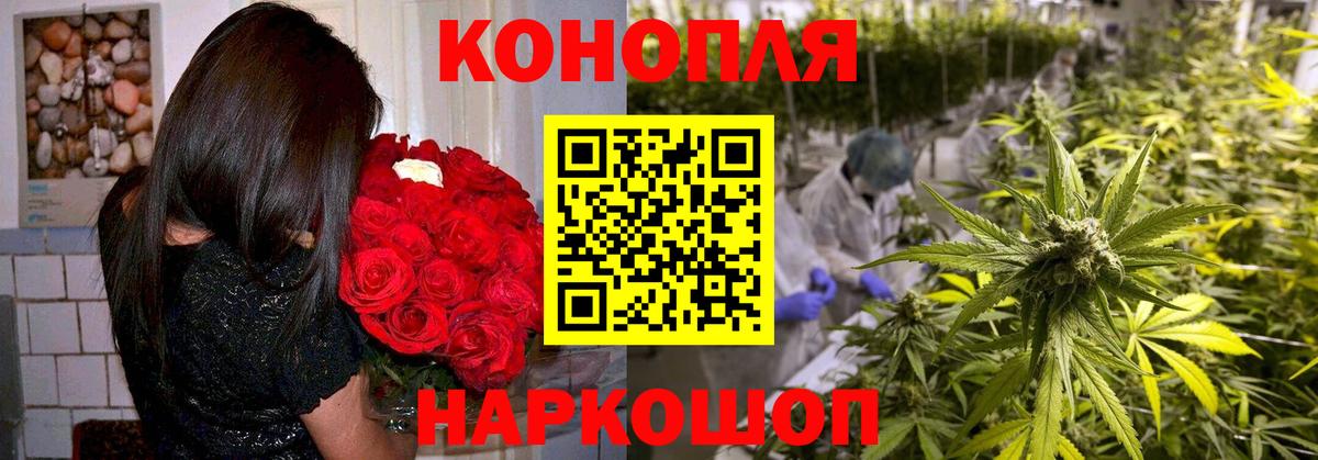 Канабис Bruce Banner Славянск-на-Кубани